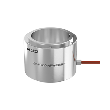 GD-F-DSG光纤光栅锚索计