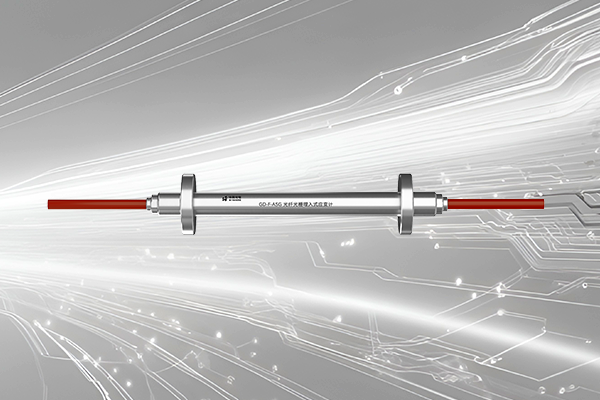 光纤光栅埋入式应变计